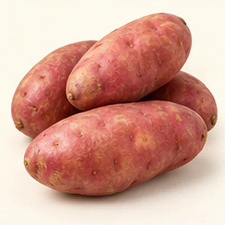 Batata Asterix — imagem ilustrativa